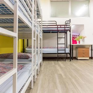 Bunk Bed Mixed Dormitory Room